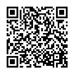 不一会从左边还有中间的大门中就传来一阵阵轰隆声还有惨嚎声二维码生成