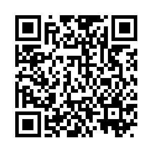 不一会儿呆爷便提着他改装过后的行李箱来了二维码生成