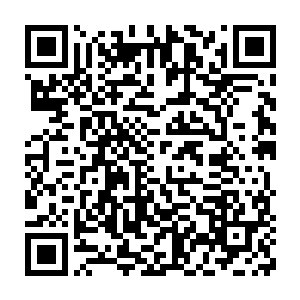 不仅仅是因为凌侯公的实力从当初的主神初期顺利突破到主神中期二维码生成