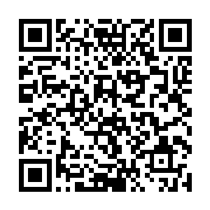 不仅在江南省在其他省份也一下子开了不少家连锁店二维码生成