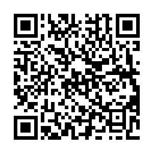 不仅浑身都是那仿佛如同被利爪撕扯过一般的深刻爪痕二维码生成