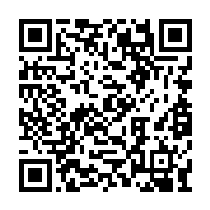 不代表另立门户的陈芝豹斗不过我这个庸碌世子二维码生成