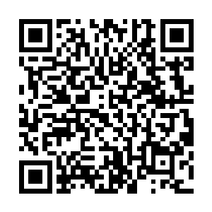 不代表她愿意看着自己的父亲被教廷的人活生生拿圣器捅死二维码生成