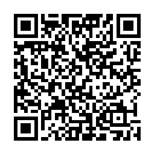 不以为意的看着白清宁美丽的容颜因为愤怒和不甘而扭曲二维码生成