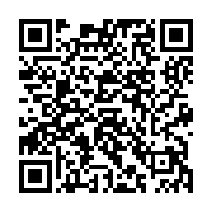 不会反应那么快地拦了一辆路过的面包车把许继送去医院二维码生成