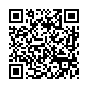 不会是当初那件在中央大陆引起数万人抢夺二维码生成