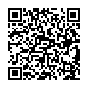 不会是想要从老夫这里得到更多的圣域绝学而编造谎言吧二维码生成