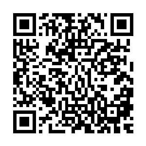 不但是因为你的新技法可能还无法应对结构性这么强的角色人格二维码生成