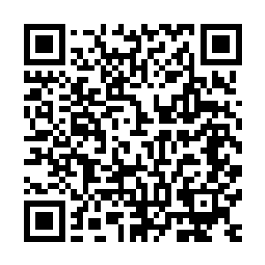 不依靠任何天材地宝和魔核之助就达到三转大地圣师的境界了二维码生成