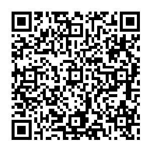 不停采摘到左手握不住了才直接一转手团成一团淡绿色的软团子塞进腰后的小药箩中二维码生成