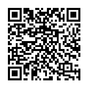 不像以前很多队伍为了保下路组合发育第一条小龙放就放了二维码生成