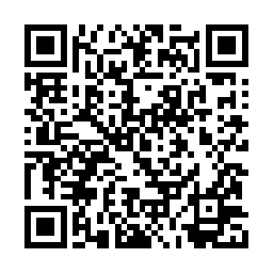 不再是刚才那样的延年益寿丸这种珍稀级的宝贝二维码生成