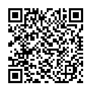 不再让他们为了我能够顺利上完大学而累死累活的二维码生成