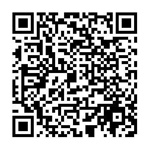 不到五分钟的时间在对方不间断的追逐攻击中龙傲天基本上也将阵法布置出来了二维码生成