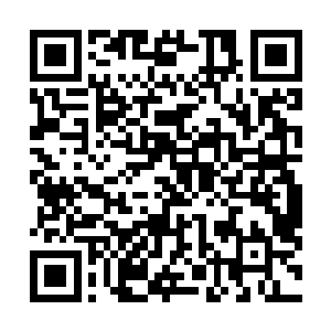 不动金刚剑阵可以说是他们手中用来对抗强敌的最大底牌二维码生成