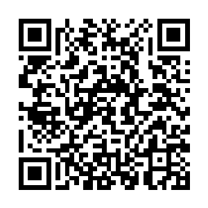 不单单只是为了促进自己和胡敬东之间关系那么简单二维码生成