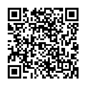 不单是以后有机会得到金丹强者雷霆威的指点那么简单二维码生成