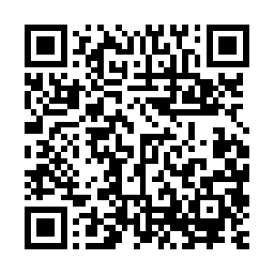 不及时藏身反而再去取藏的东西等于是在给自己增加暴露的危险二维码生成