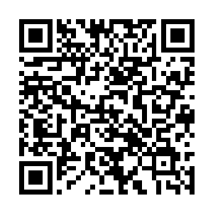 不可免除的在写作取材的整体资料量上会有所缺欠二维码生成