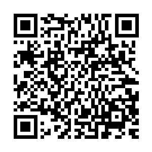 不可思议的看着本以为已经昏迷着的人此时正目光冷冽的看着他二维码生成
