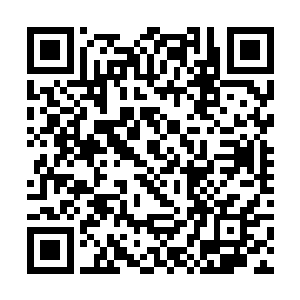 不可能是天位符箓的主人……是不是还有什么没想到二维码生成