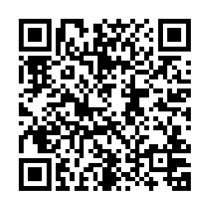 不如我们联手演一出戏给维尔特联邦来遮掩我们的军队调动之用二维码生成