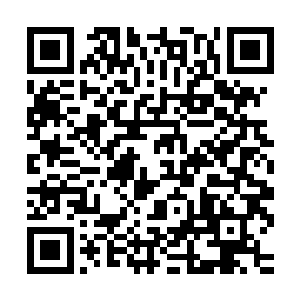 不如说云峥是在把林县令的手札当做一份隐晦的时事报告在研究二维码生成