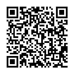 不如说这是一份详尽的指导大众如何避免身份遭泄露的指导手册二维码生成