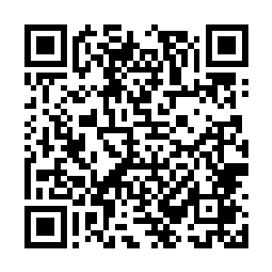 不客气的盯着搂着破界杖絮絮叨叨的绵老再次问道二维码生成