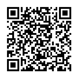 不少娱乐明星都在大厅这档节目到底是什么类型的二维码生成