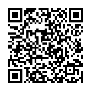 不就是你因为种种怀疑和小心所以让他们作为后手么二维码生成