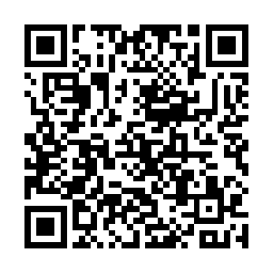 不就是吃了你两颗杏仁么至于这么记仇么一直记到现在二维码生成