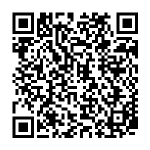 不就是当初还是四皇子的太子和你们舅舅武卫将军回京时被刺杀的郾城吗二维码生成
