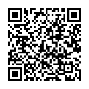 不影响以现代企业制度理念来管理即将成立的合创地产二维码生成