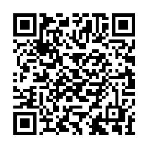 不得不派两个无足轻重的小辈返回老家修缮祖坟二维码生成