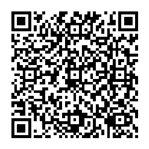 不忍孩子出生就没了爸爸……她就是一个没有父母的孤儿……她其实可以……可以趁现在二维码生成