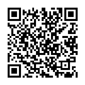 不想众人在踏出殿门的瞬间就立即被传送了出来二维码生成