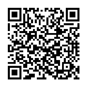 不意策氏家族那边竟也同样出了一位惊才绝艳的策星辰二维码生成
