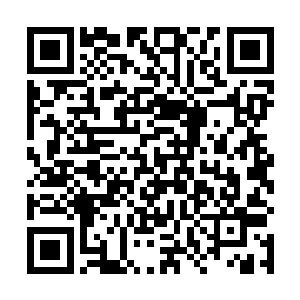不时的能够看到一些别的宗门的人在大街上来回的穿梭二维码生成