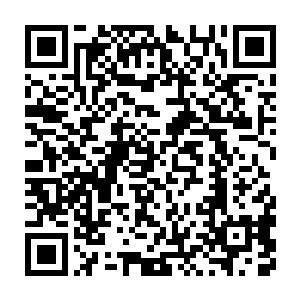 不明白林安为什么会有这栋楼和这片空地已经是安远公司了的错觉二维码生成