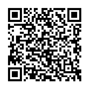 不明白莫咏欣已经知道没有办法找到他的证据了二维码生成