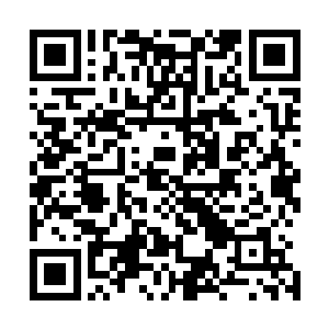 不明白莫小鱼为什么会在他占据优势地位时候还要给自己钱二维码生成