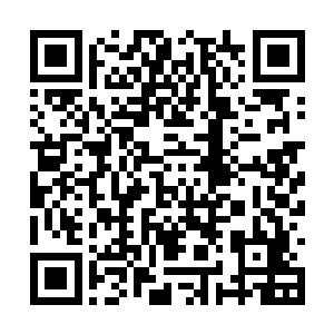不是…怎么可能 怎么会这样…你…你怎么会是…二维码生成