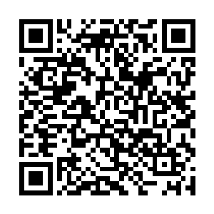 不是你出点血或准备付出些什么就一定能换来回报的二维码生成