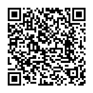 不是别的因为理查德这一家人玩起了沙滩排球的时候和一般的不一样二维码生成