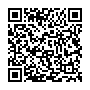 不是各个都用敌意的眼神盯着他们主仆两个了吗二维码生成