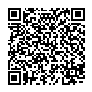 不是说只有刚刚离开银油树的最完美银油果即时拿来提炼才能弄出三百滴二维码生成