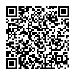不消说这肯定是前任总统利用残留在军中的影响力策划了这次行动二维码生成