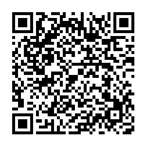 不清楚是什么材质所做的细长而尖锐的东西从地上胡乱的迸射而出二维码生成