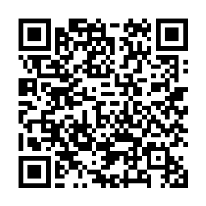 不然他们的祖祖辈辈也不至于设置这么多机关去保护吧二维码生成